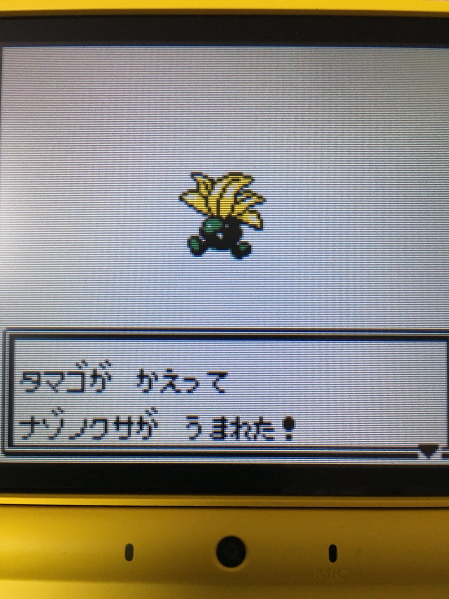 色違いポケモン紹介 Vc産ナゾノクサ 自由に生きてあそblog