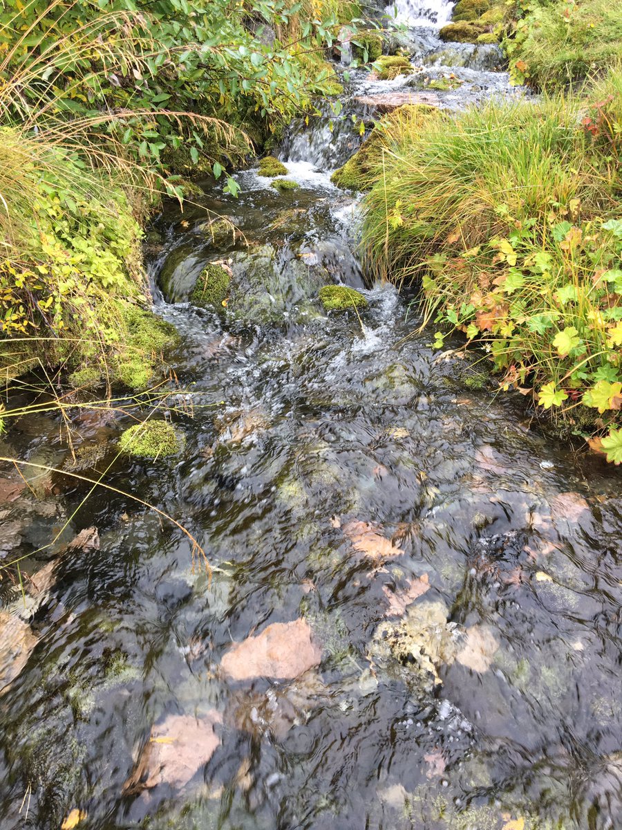 Att inte bara bestiga Sveriges högsta berg i orörd natur utan också göra det med rent vatten direkt från en bäck. Låt det för alltid vara möjligt ⛰