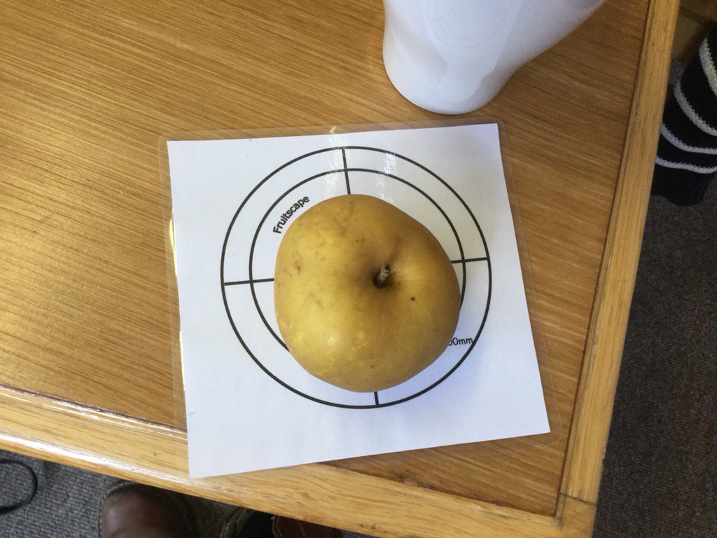 HelpBritBloss's tweet image. Training  9 more orchard leaders in how to identify apples with expert trainer Clifford Cain from @Fruitscape today.