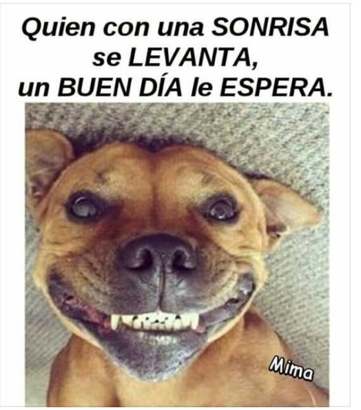 <a href="/AVAstudillo/">Alberto Astudillo B.</a> ,<a href="/ParolerosEC/">La Parola</a> ,<a href="/LaDeportivaEC/">LaDeportiva</a> ,<a href="/TVCLaComunidad/">TVCLaComunidad</a> ,<a href="/Carapungoenacci/">Carapungo en acción</a> ,<a href="/karapungo/">karapungo</a> ,<a href="/johannacanizare/">Johanna Canizares</a> ,<a href="/el_telegrafo/">El Telégrafo Ecuador</a> ,<a href="/QuitoComercio/">Quito Comercio</a> ,<a href="/juankcanal1274/">Juan Carlos Correa</a>