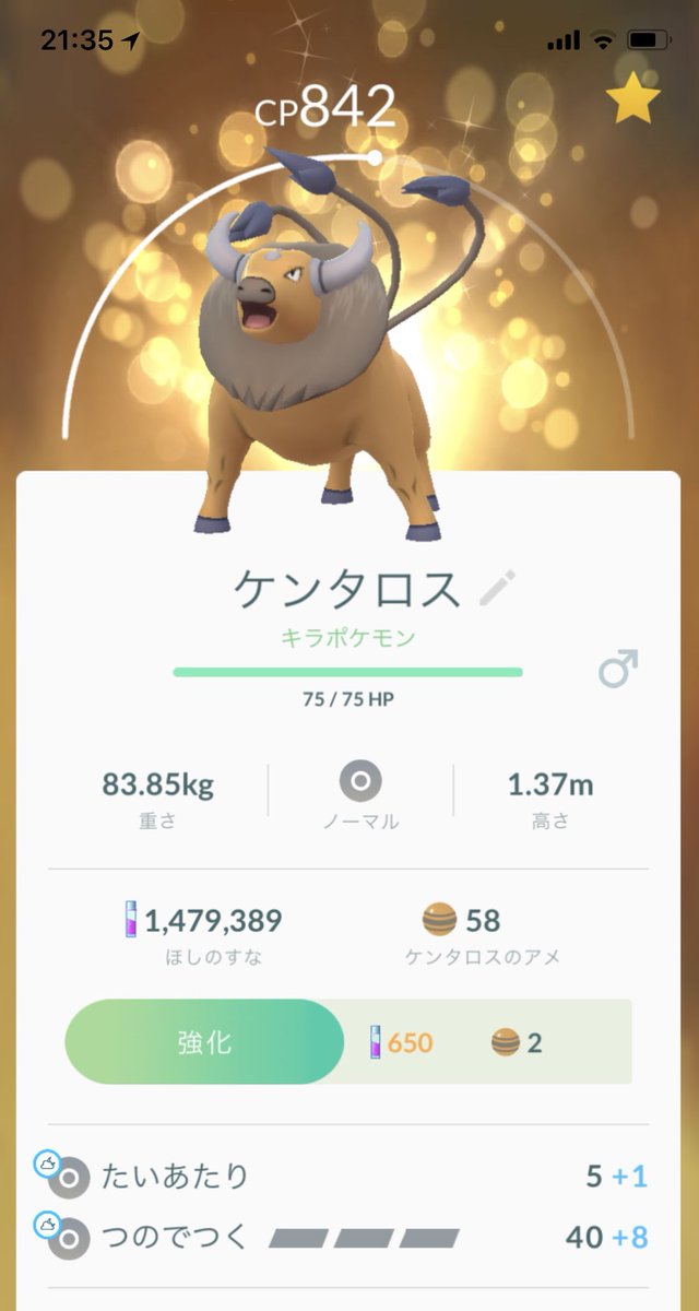 Yuuya ポケモンgo交換希望 キラ狙いで交換して頂いたケンタロスが本当にキラになりました いやーーカッコイイ 16年産のアメリカ天然物 こちも16年産を出したのが良かったのかも ポケモンgo ケンタロス キラキラポケモン