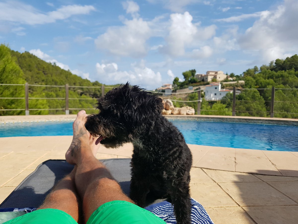 Jerry_Winkler's tweet photo. #puravida #spain https://t.co/ur4gzICKvh