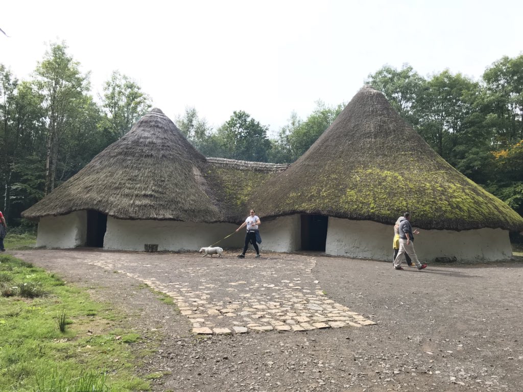 Cardiff Girl tweet media