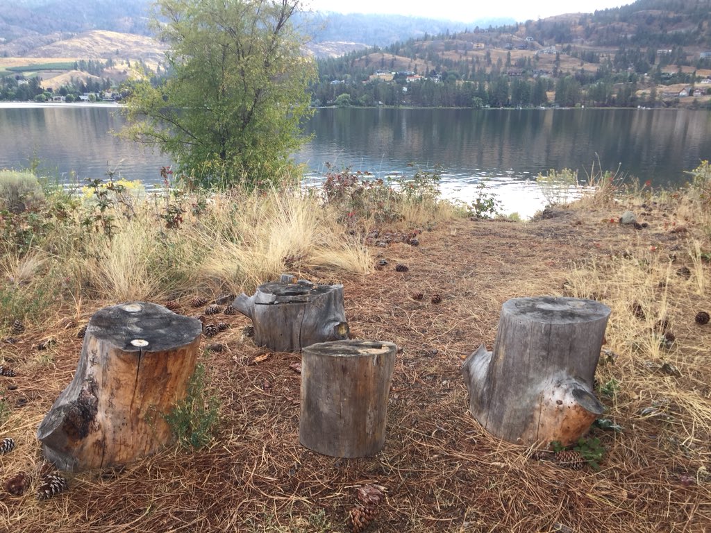 Engaging in the Elements of Documentation! Noticing, being present and capturing learning with excellent dialogue. #sd53 #growth #learningtogether <a href="/dirk_mrs/">MrsMDirk</a>  <a href="/judithaking/">Judith King</a> <a href="/snowroberta/">Roberta Snow</a>