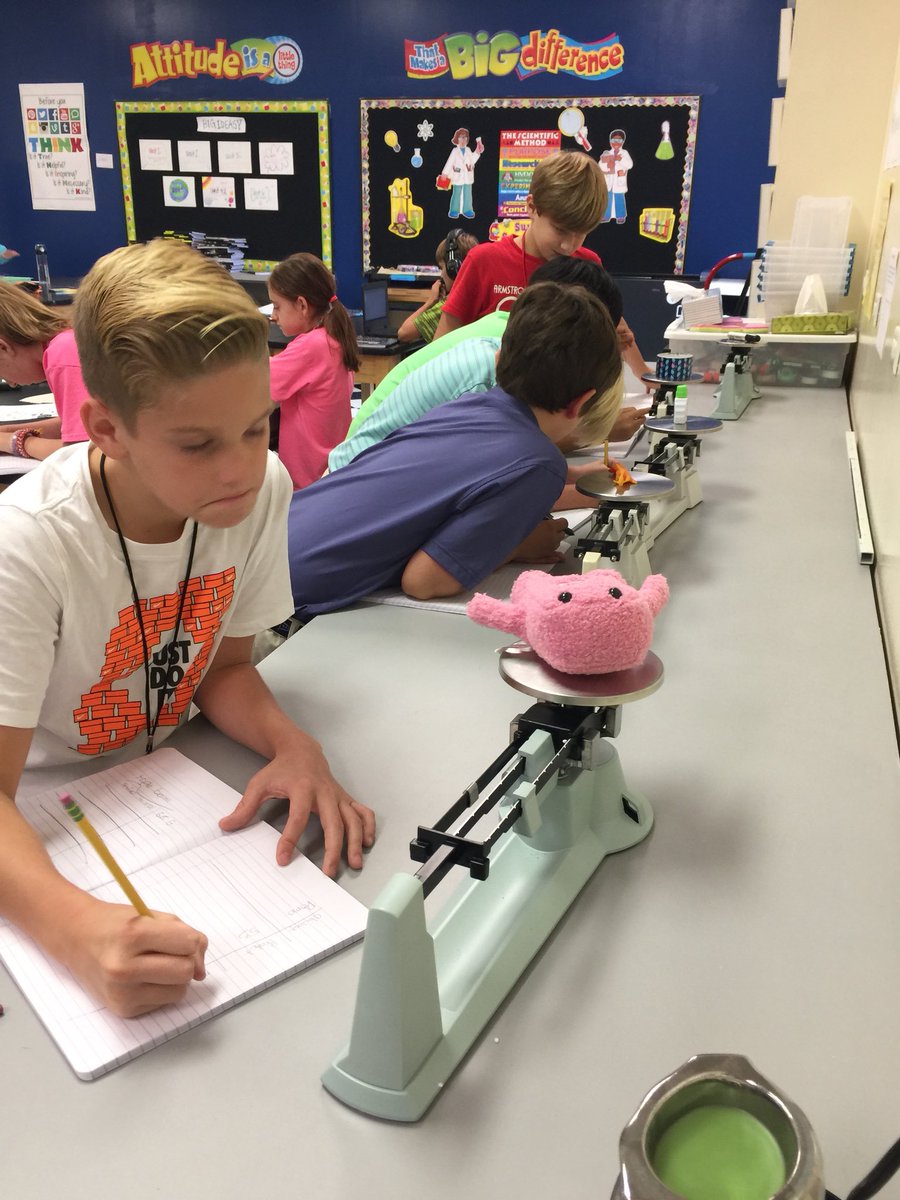 Emily K Green tweet media