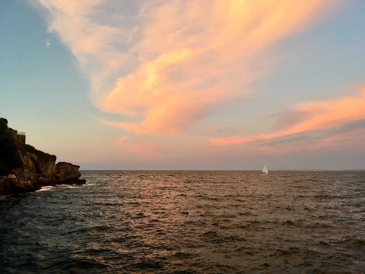 alberdi's tweet image. Xoraturikan (bai, Hasierrek ohi zioen bezala)