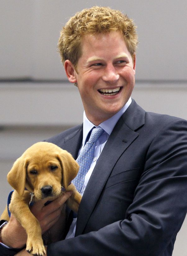 Happy birthday, Prince Harry! Moments that made us love him more  