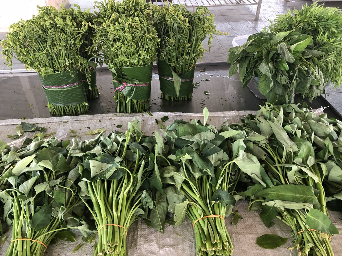 Ahmad B Maslan On Twitter Sayur Midin Paku Midin Pucuk