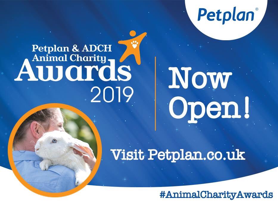 Bustersmum's tweet photo. Do you know a deserving animal charity, volunteer or employee who goes above and beyond to help animals?

You can nominate them now for the 2019 Petplan &amp; ADCH #AnimalCharityAwards at https://t.co/mRaAv4qGdz https://t.co/quRynJTDkz