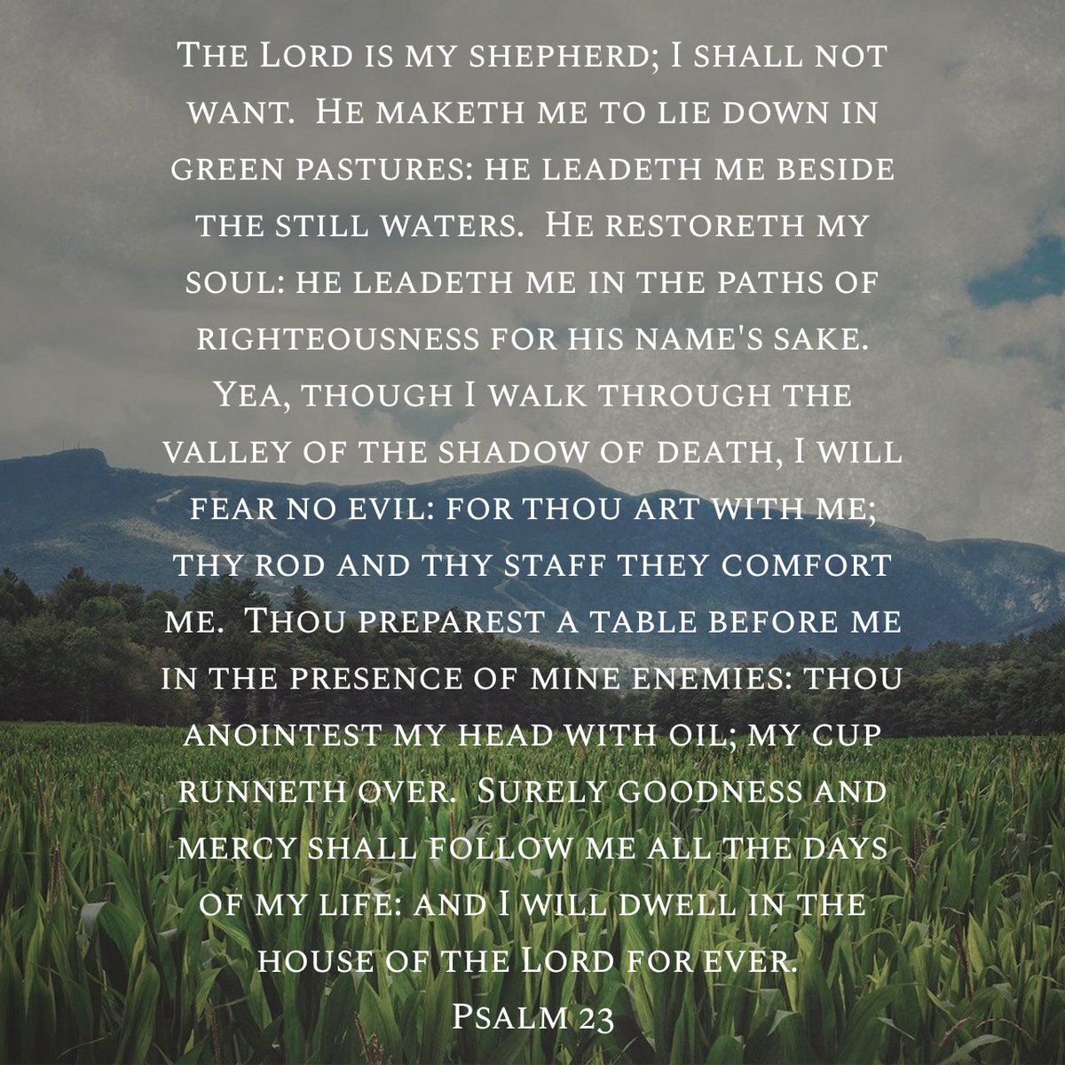Ron Adams On Twitter The Lord Is My Shepherd I Shall Not