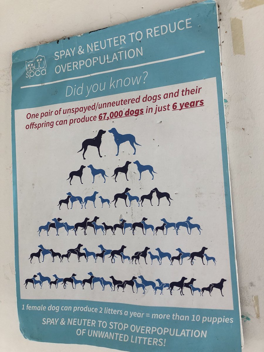 strayfree - Twitter Search