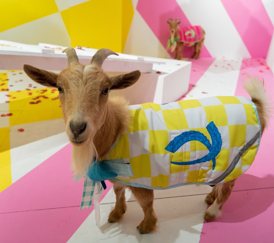 UNIXGallery's tweet image. Due to a transportation issue the furry features of @desire_obtain’s “To The Victor Belongs The Spoils” will not be at the gallery today. Phil and Lil will return next Saturday (9/22/18) from 12 - 4 PM.  Click the link in bio for exciting updates from UNIX Gallery. Thank you!