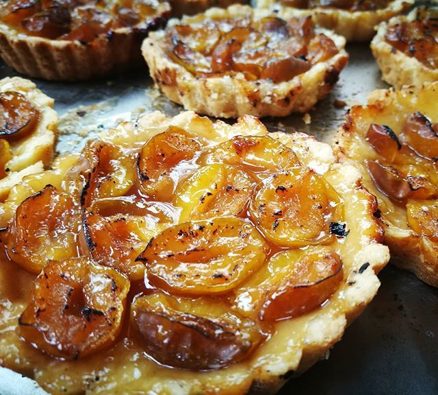 lacocotteberlin's tweet photo. Les tartelettes aux mirabelles - Mirabellenküchlein #lacocotte #lesmirabellesdelacocotte #mirabelles #tartelettes #lacocotteberlin #frenchfood #Berlin #berlinparis #berlin #parisberlin #esseninberlin #berlinfoodies #berlinfood #berlinfoodstories #visitbe… https://t.co/skJKI0f6JW https://t.co/dXueAfQ05t