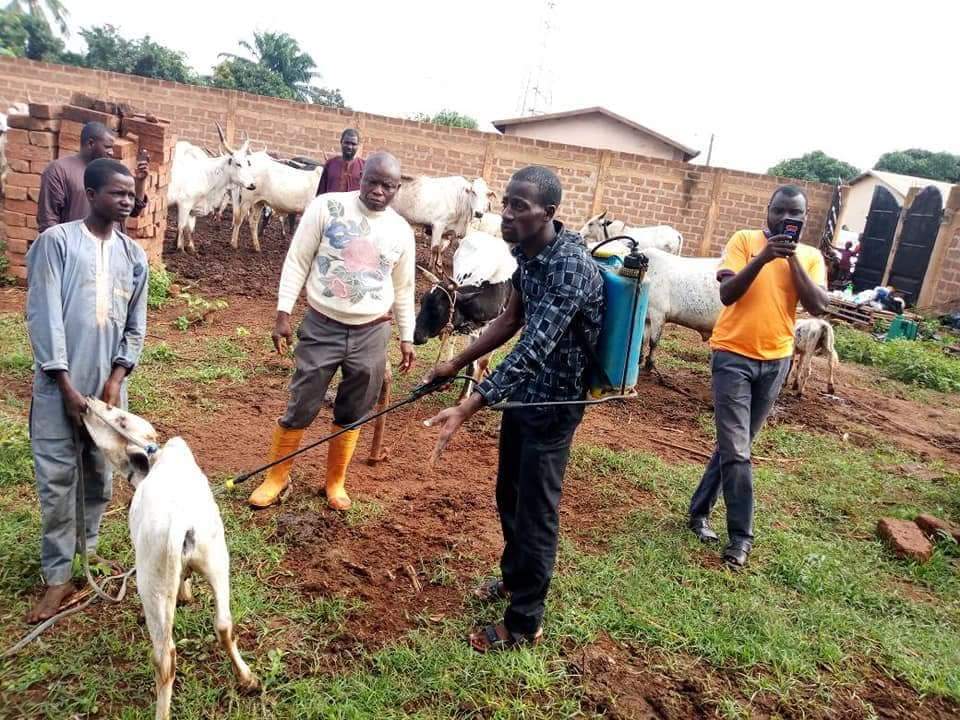 #FAQ #PEPP #DDC au Bénin : le déparasitage interne et externe combiné au complément alimentaire sont les gages d'un élevage réussi et durable.
Des changements de comportements s'imposent.
#APESS <a href="/dribrahimaaliou/">Dr Ibrahima Aliou</a>