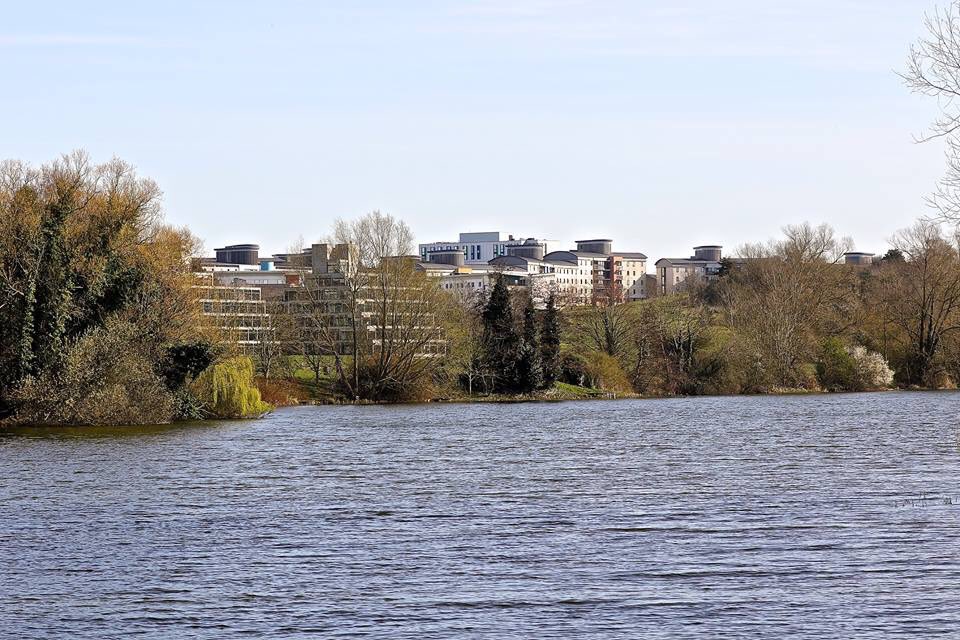 Norfolk Orienteering tweet media