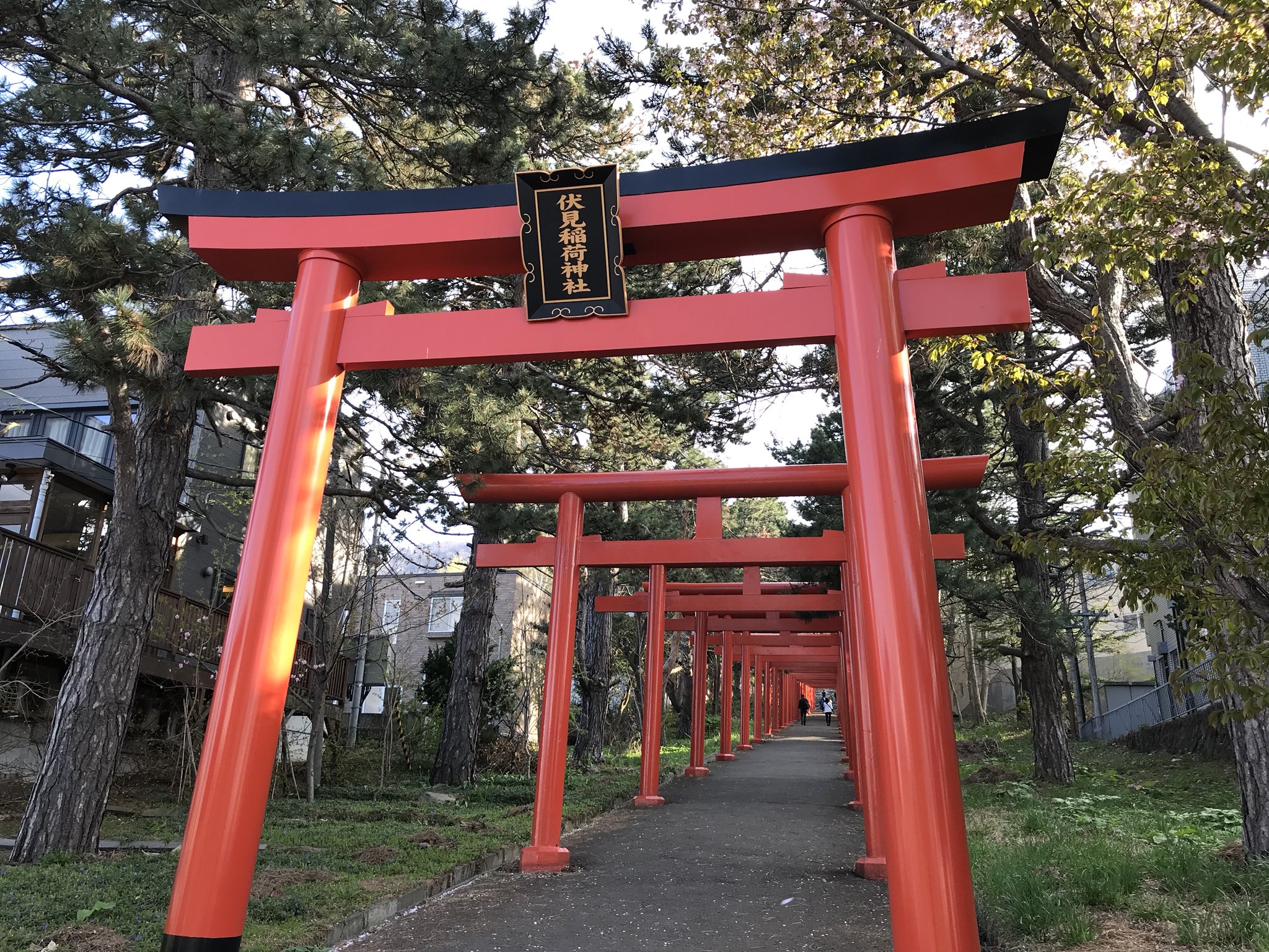 チーク卿 まーちゃん 札幌伏見稲荷神社の手伝いしてたのかな Morning1422 Morningmusme18 佐藤優樹 チーク卿 まーちゃん 札幌伏見稲荷神社の手伝いしてたのかな Morning1422 Morningmusme18 佐藤優樹