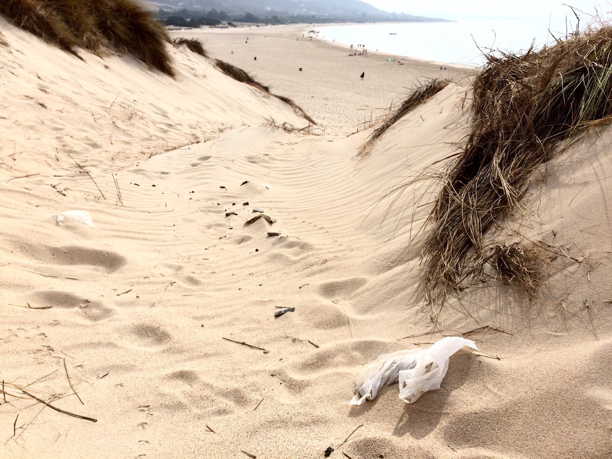 Otis_inglorius's tweet photo. 2hrs on the beach at Punta Paloma today for @WorldCleanupDay gave us migrating Black Storks, Two-tailed Pasha, dozens of Yellow Wagtails overhead, Sea Daffodil and ALL THIS RUBBISH! @TarifaEcoCenter @FundacionMigres @TurmaresTarifa #tarifasinplasticos #WorldCleanup2018 https://t.co/csHBzNdtce