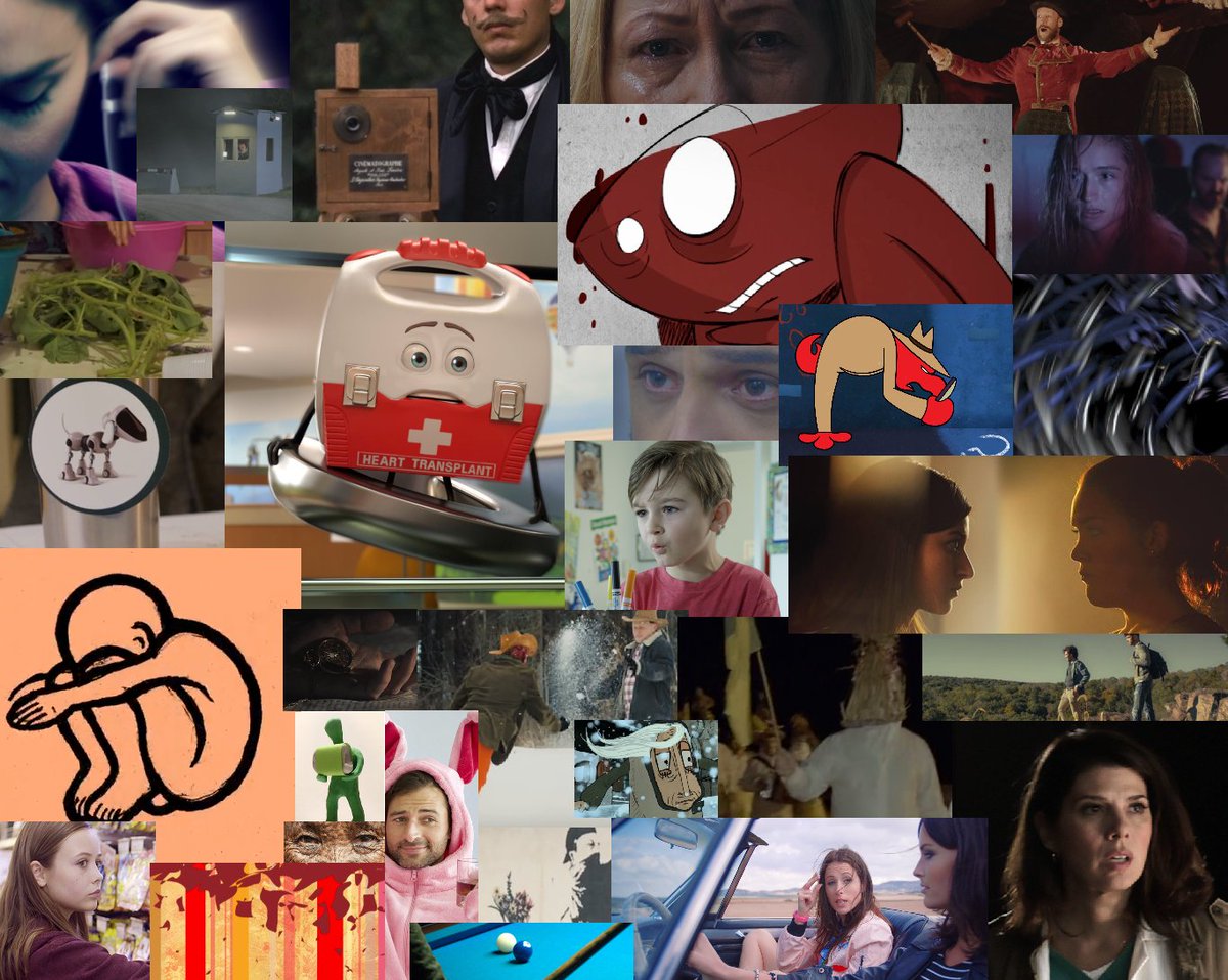 bestshortfest's tweet photo. BEST SHORT FEST 2018 Official Selections: https://t.co/uny3MIch6S #BSFOfficialSelection #congratulations #short #film #shortfilm #supportshorts #filmmakers #filmfestival https://t.co/OkAbz6tVoG