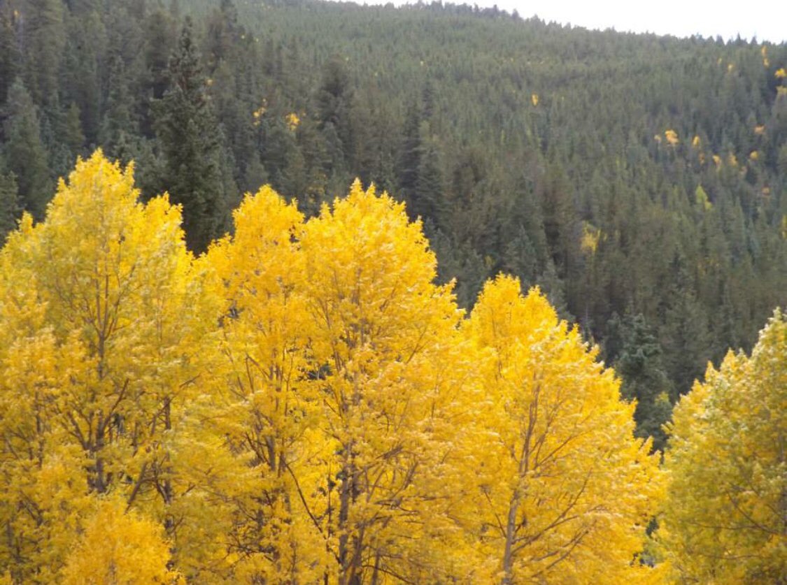Phewmax's tweet photo. Autumn is my favorite 😀 https://t.co/r8iVQahNiS