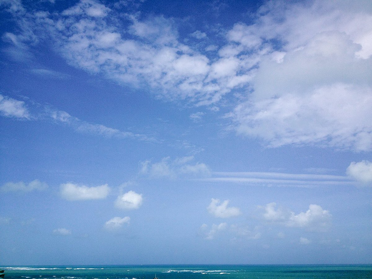0813N tweet picture