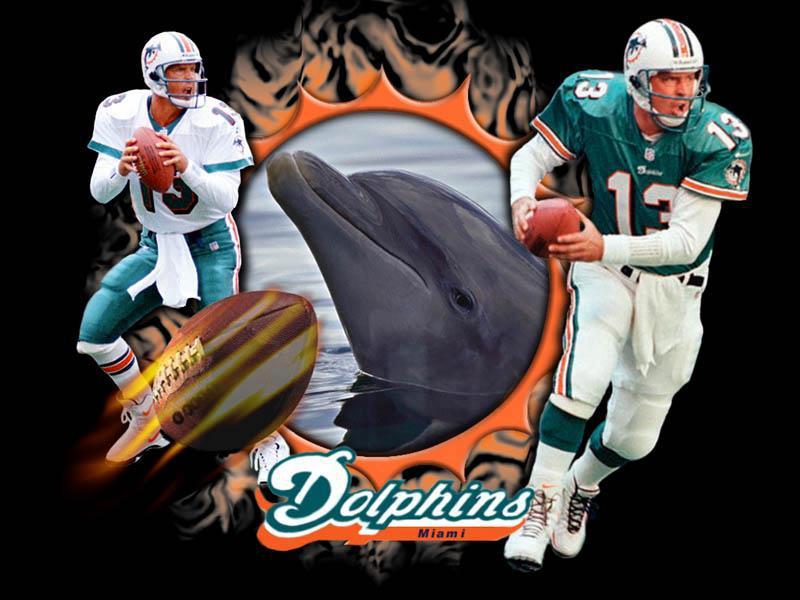 Happy Birthday to Miami Dolphins Legend Dan Marino 