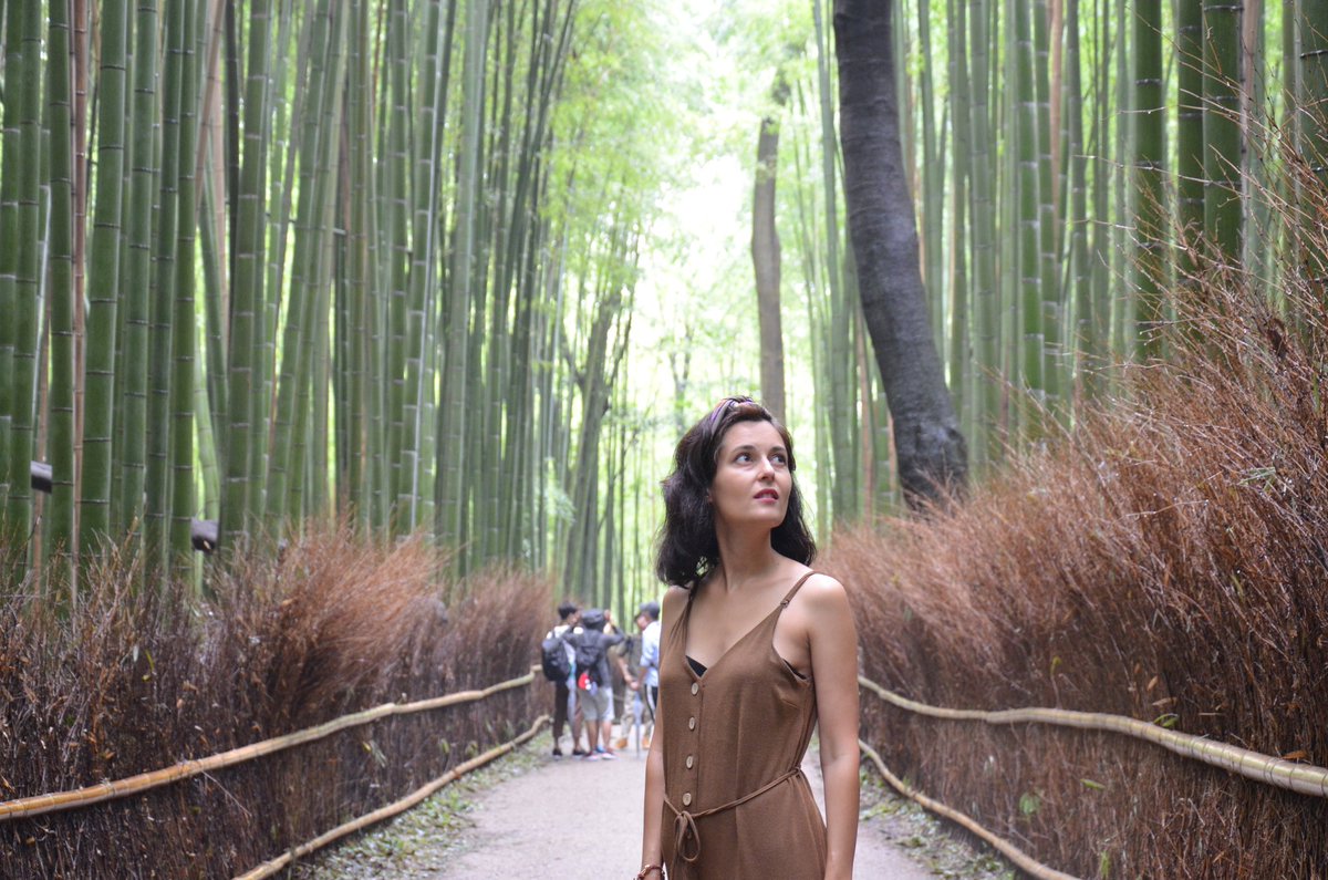 demikublog's tweet photo. Nuestra primera visita del día de hoy en #Kyoto ha sido el famoso bosque de bambú de #Arashiyama. Una maravilla de la naturaleza, es increíble estar allí, las fitos no son capaces de transmitir la magia de ese lugar ☺️

Descubre más en nuestro facebook ☺️

#demikujapon https://t.co/22Pd4yXblQ