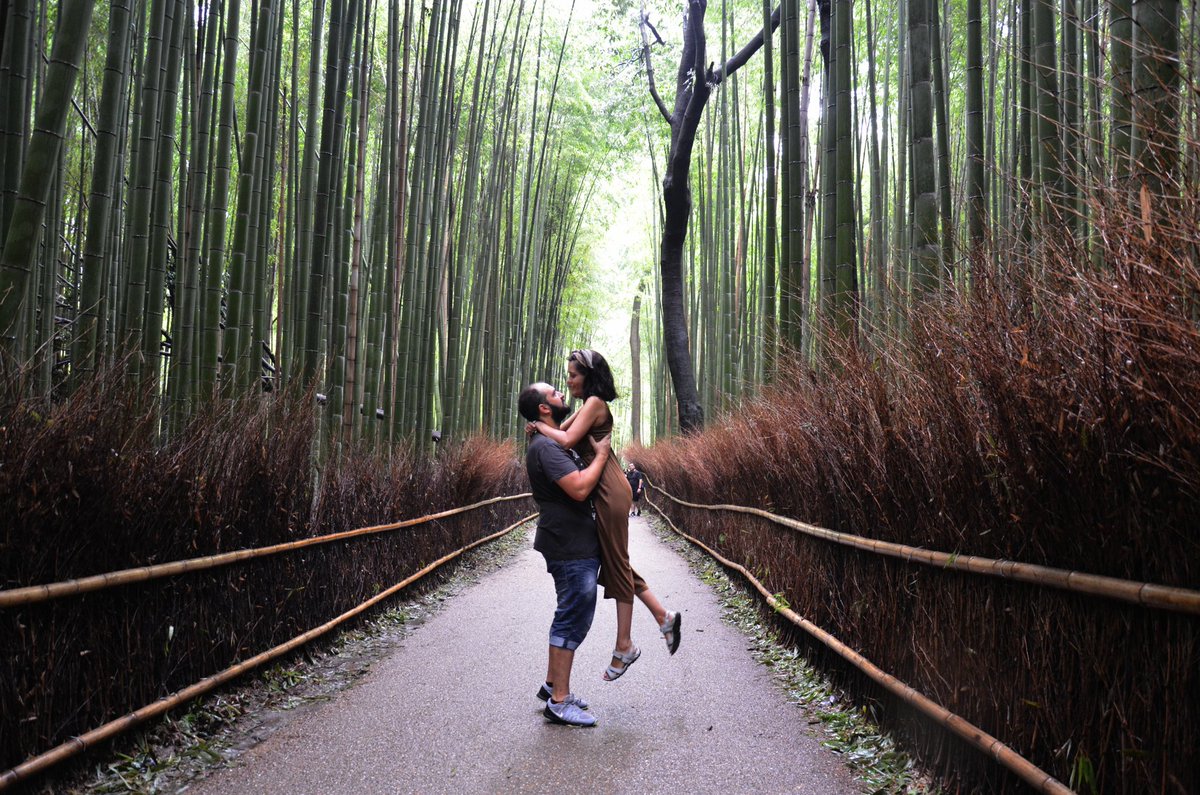 Nuestra primera visita del día de hoy en #Kyoto ha sido el famoso bosque de bambú de #Arashiyama. Una maravilla de la naturaleza, es increíble estar allí, las fitos no son capaces de transmitir la magia de ese lugar ☺️

Descubre más en nuestro facebook ☺️

#demikujapon