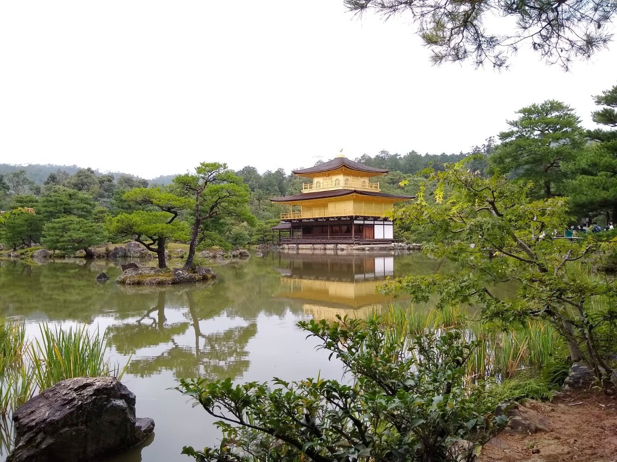demikublog's tweet photo. A mediodía nos acercamos a visitar el maravilloso Pabellón Dorado de #Kioto Impresionante! 😍

#demikujapon #Japon https://t.co/IOjdWFSkrz