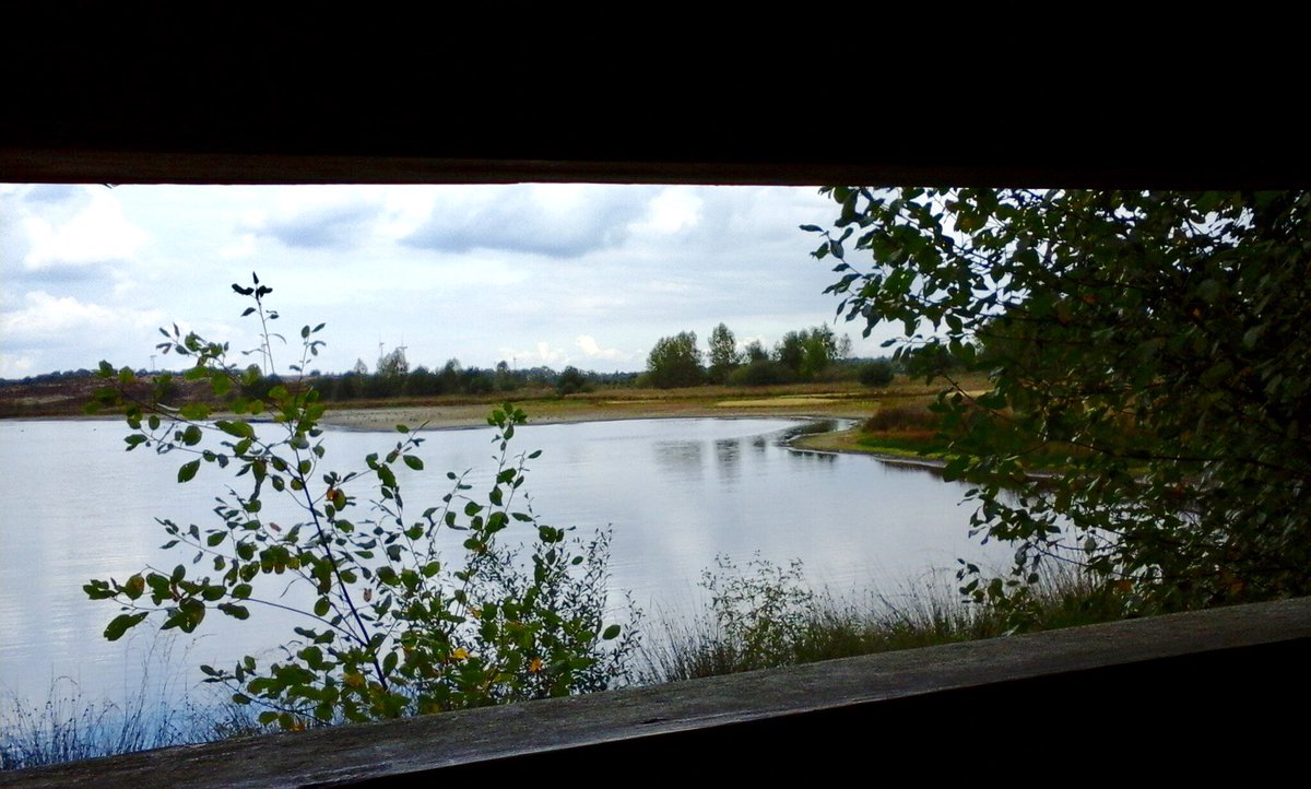 verhoeven_marij's tweet photo. #Tragetocht #Wellerlooi gelopen. De beschrijving klopte perfect, alleen de schuilhut was door een storm verdwenen.@WolfsWandelplan https://t.co/RCHUCD8oJG
