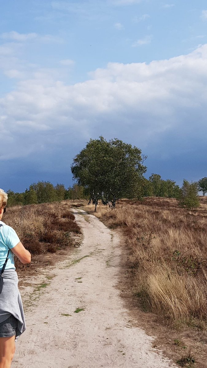 verhoeven_marij's tweet photo. #Tragetocht #Wellerlooi gelopen. De beschrijving klopte perfect, alleen de schuilhut was door een storm verdwenen.@WolfsWandelplan https://t.co/RCHUCD8oJG