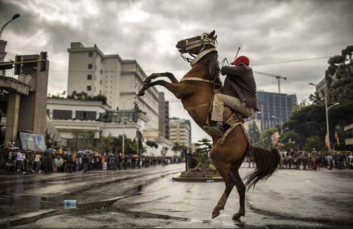 Milkissa Chimdessa Wodajo tweet media