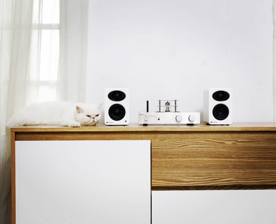 Kissintaita, hifiäänen ystävät! #Caturday ja puhtaat soundit, mikäs sen mukavampaa! #SteljesAudio:n aktiivikaiuttimet nyt -10% ! jimms.fi/fi/Product/Sea… #Ns1 #ML30 #steljes