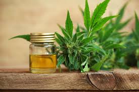 CBD International tweet media