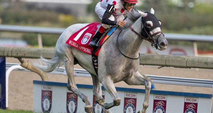 It’s a beautiful day <a href="/WoodbineTB/">Woodbine Racetrack</a> and we are just hours away from the G1 Ricoh Woodbine Mile. Need some handicapping insight? @CandiceHare_ covers the Mile, Canadian, Bold Venture and Northern Dancer complete with picks —> everythingeq.com/2018-ricoh-woo…