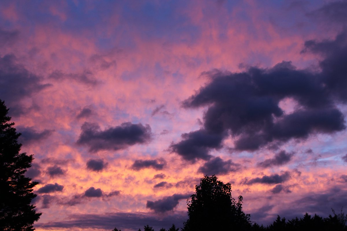 Hollywood19Miss's tweet image. North Carolina skies. 😍 #sunset #sky #photography #nature #nofilter  #NorthCarolina #pink #Purple #clouds