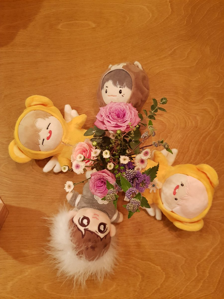 som_fam's tweet photo. 우리집 꼬맹이들 단체 외출..넷이니까 귀여움은 16배! 😍😍
@kerosuit #애쉬녜리 #핑크녜리 #옹아리 #셍콩이 https://t.co/5Iq6cp31En