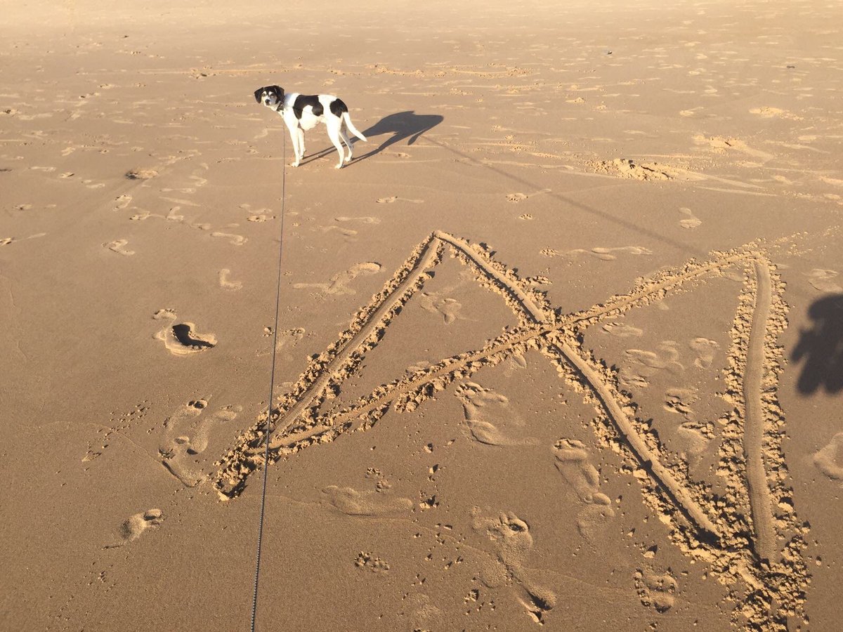 Manu doesn't have time to wait for fish. #SaturdaySardines