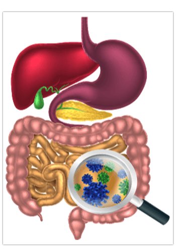 FoodCook2's tweet image. How The Foods You're Eating Every Day Are Making Your Fat Cells SICK ...

Making it IMPOSSIBLE to lose weight , while also damaging your joints, disrupting your hormones, rapidly  aging your skin, and even leading to Diabetes.
.It will help read more buff.ly/2x8Ta2D