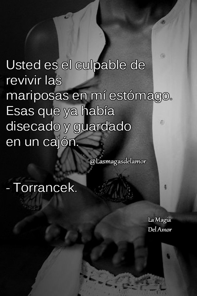 La Magia Del Amor* در توییتر "Usted es el culpable de revivir las mariposas  en mí estómago. Esas que ya había disecado y guardado en un cajón.  #Torrancek. #Lasmagasdelamor #Lamagiadelamor #frases…  https://t.co/Cu8zk2yR3o"