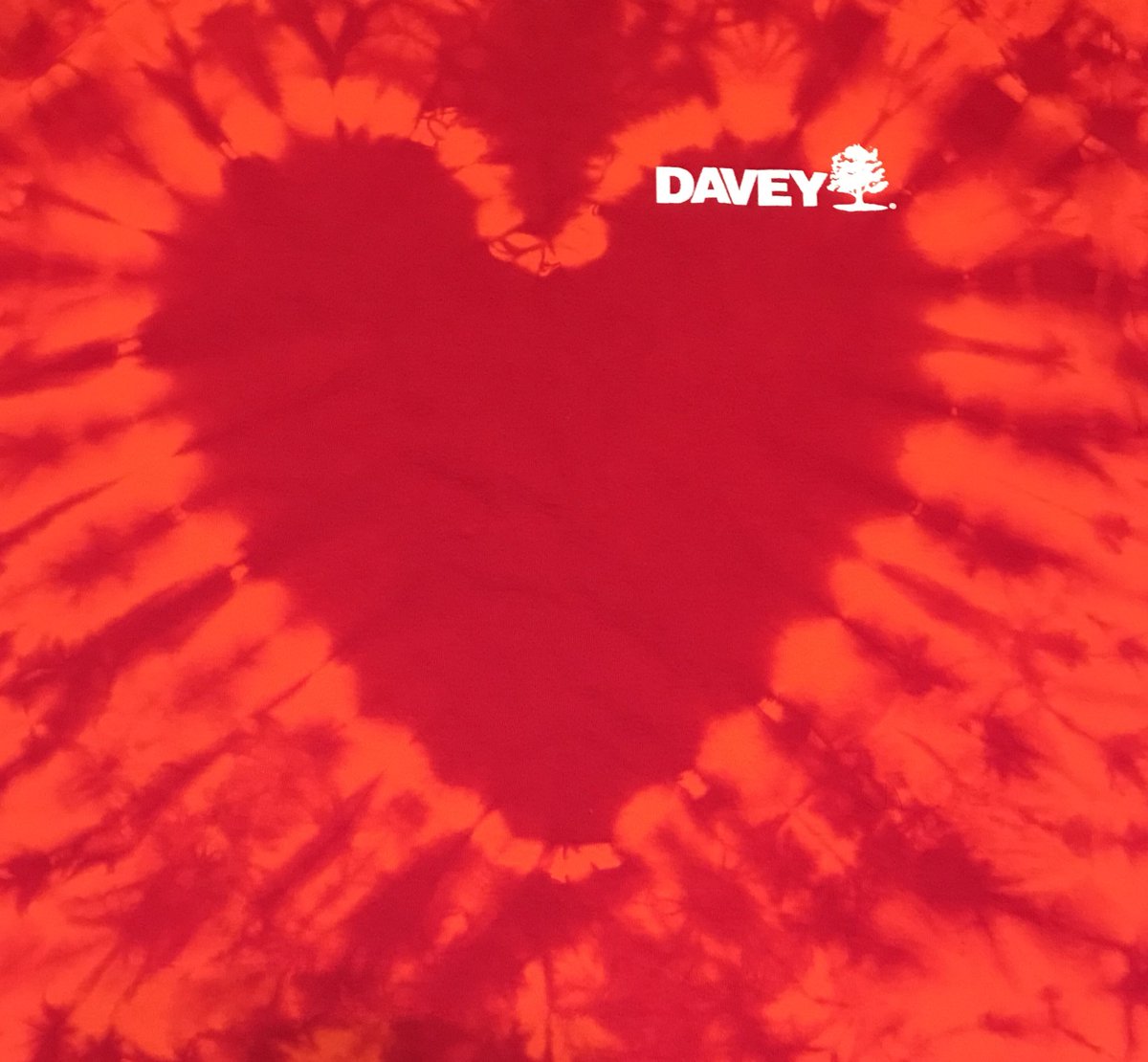 DaveyTree's tweet photo. Davey is proud to be #heartwalking today at #AkronHeartWalk #whywalk #lifeiswhy #treerx https://t.co/0JOyWgfR45
