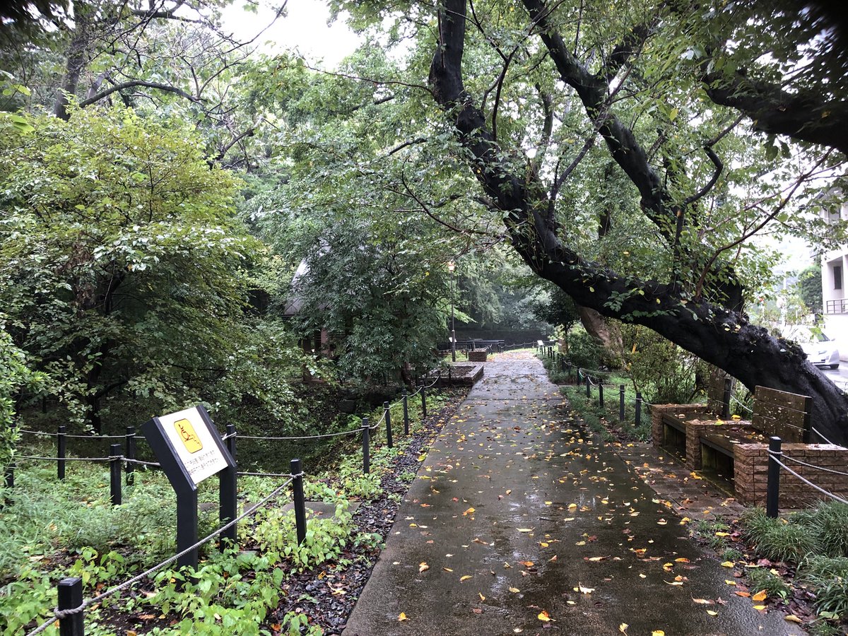 Kino Chu 得意先の帰りに 杉並区 高井戸東 三井の森公園立ち寄り 崖線 案内を読んでみた 古い地図を見ると 公園の前は水路 佃川 が描かれている 暗渠 杉並区 高井戸 Kino Chu 得意先の帰りに 杉並区 高井戸東 三井の森公園立ち寄り 崖線 案内を読んでみた 古い地図を見ると 公園の前は水路 佃川 が描かれている 暗渠 杉並区 高井戸