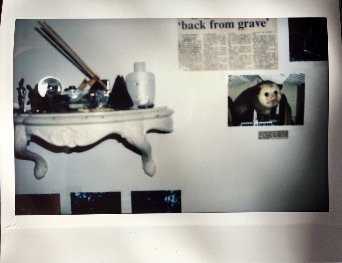 MOMMA TRIED MAGAZINE tweet media