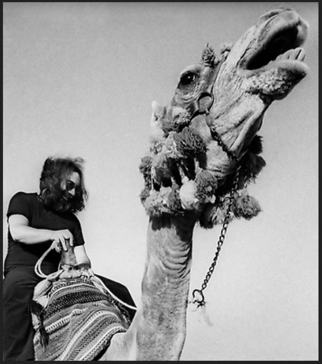 jesse jarnow on Twitter "strange occurrences in the desert 2 the