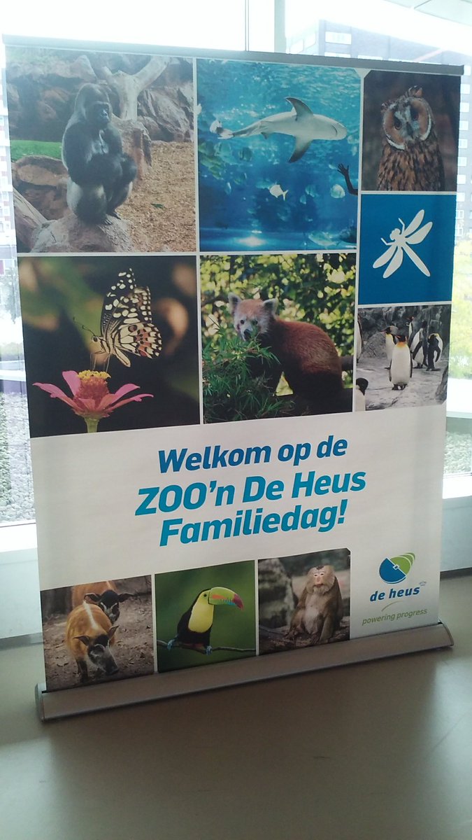 Esther Ellen tweet media