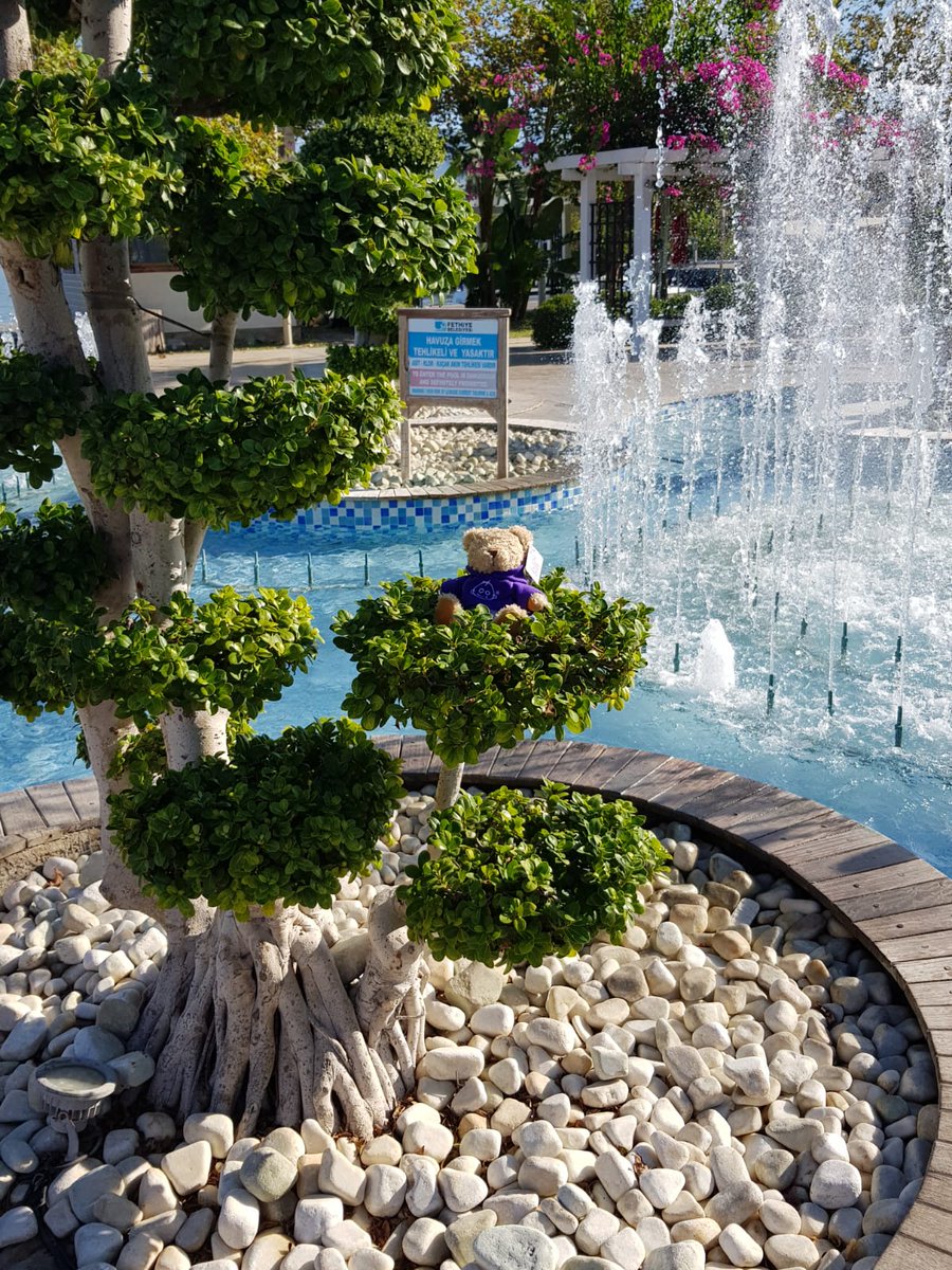 Day 5 of Bernard the bear his holiday and he has been busy site seeing. 😀 #holiday #gosh <a href="/SDEBDD/">simon ewins</a> <a href="/paulallancurtis/">Paul Curtis 💙</a> <a href="/thebirdlane/">Natasha Lane</a> <a href="/placemadebyyou/">A Place Made By You</a>