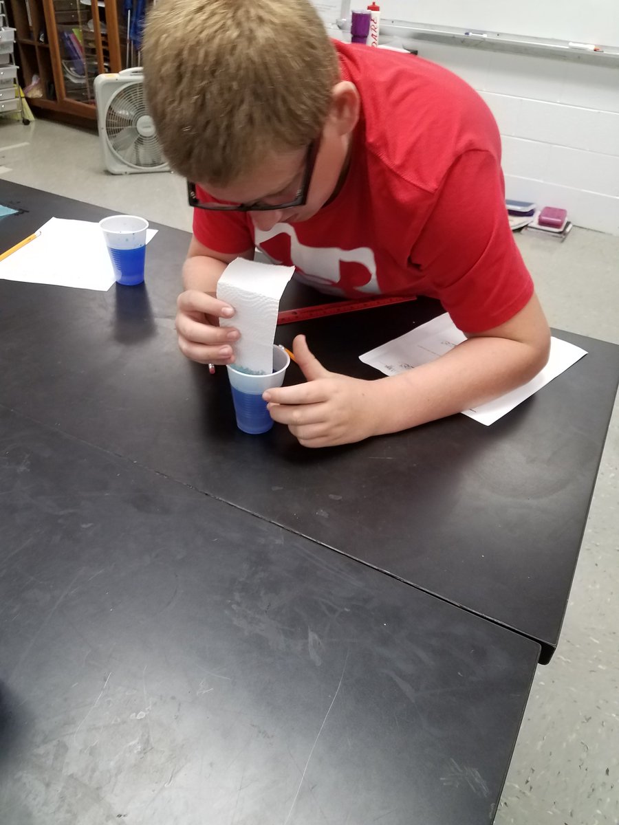 kadamswms's tweet photo. Water Olympics- competitive fun to explore the properties of water! @Brynn_Welch_17 https://t.co/J7Xu06AD8c