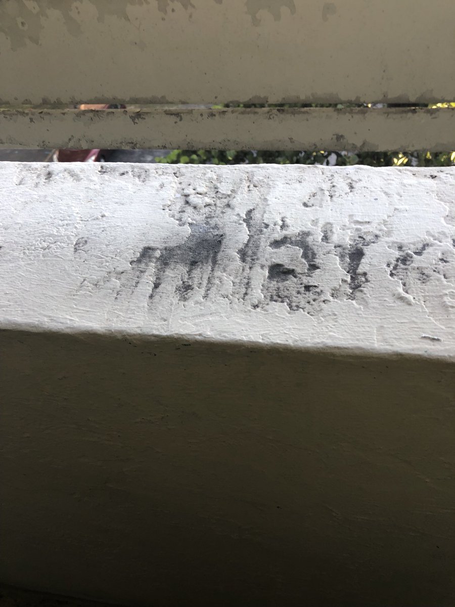 DBHesse's tweet photo. We evacuated #FlorenceHurricane2018 and headed to @visitlauderdale
But @doubletree #GALLERYone in #FortLauderdale was not the place to be
Have @HiltonHotels standards dropped?
#HiltonHonors @HiltonHonors
@HiltonNewsroom https://t.co/oyVZWI22bZ