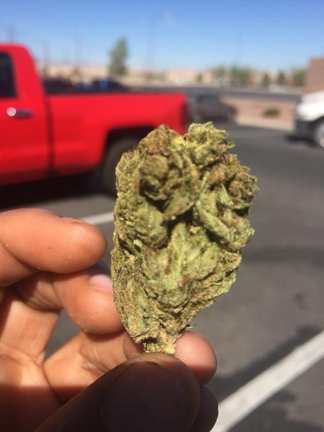gotitent's tweet image. AH GLANCE AT ONE OF #LASVEGAS GREATEST BUDZ FUCK WIT YO BOY
