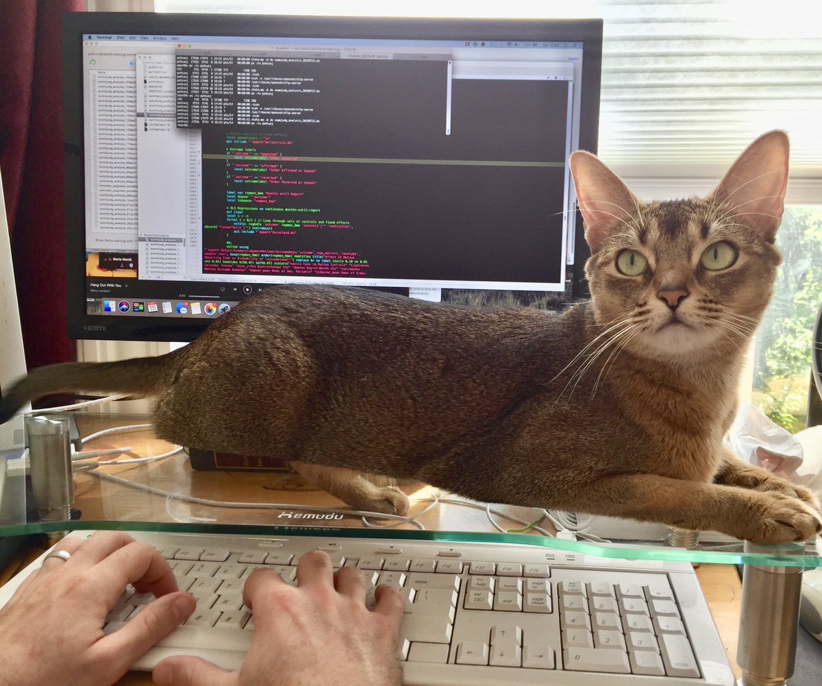 MaraRevkin's tweet image. Happy Caturday! #AcademicsWithCats #CodingWithCats @catsofpolisci