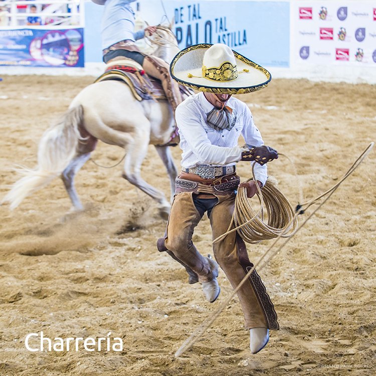 GParkRoyalCC's tweet photo. Llévate el sabor de México en tus recuerdos y disfruta una noche mexicana al estilo Grand. 🤩🎉 https://t.co/2jEvzrgah8